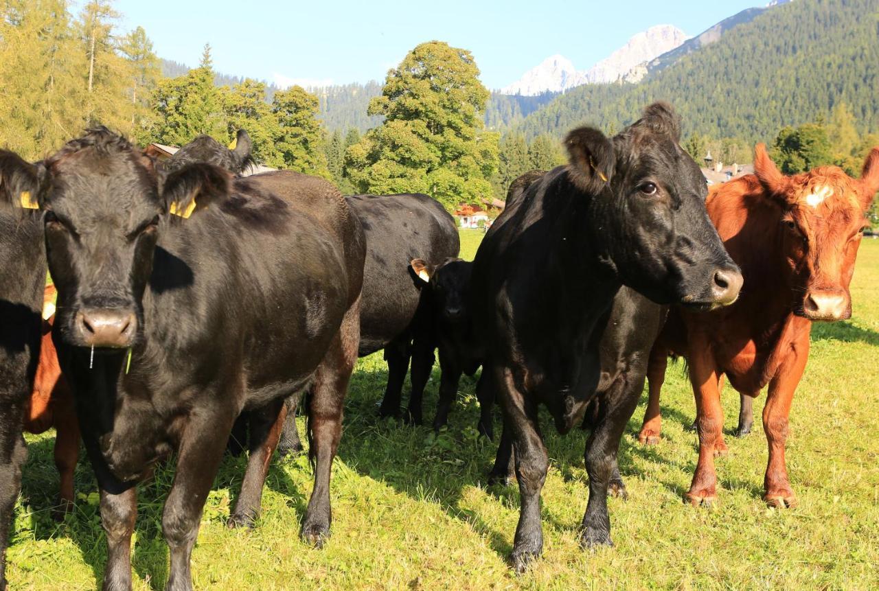 Hotel Laerchenhof Ramsau am Dachstein Zewnętrze zdjęcie
