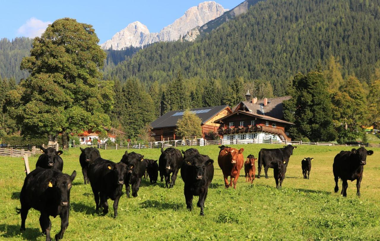 Hotel Laerchenhof Ramsau am Dachstein Zewnętrze zdjęcie